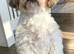 Male Shihtzu for sale