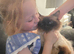 Ragdoll cross siberian