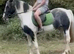 Beautiful Welsh x Hackney Ride and Drive