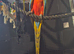 Harlequin Macaws
