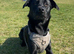 Kovu 2 years