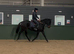 Lovely mare