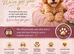 Asian/Korean Doll Face Maltipoo Puppies