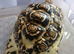 Leopard tortoises