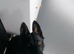 6month old girl