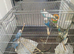 For sale