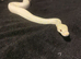 Lavender albino royal pythons