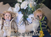 Gorgeous Pedigree ragdoll kitten