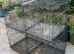 Birds cages