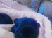 5 beautiful fur pom babies