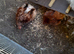 Millefleur Pekin bantams chickens
