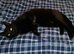 Country Home sought for Black Neutered Male Cat