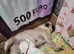 Pug puppy boy left