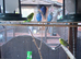 Budgies for sale various colours