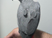 Stunning super tame baby hand reared african greys