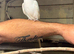 Hand reared albino ringneck with cage