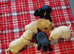 Beautiful labrador puppies