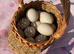 Hatching eggs! Saxony and Welsh harlequin
