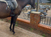 !16.1hh gentleman/safe hack!