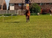 13.2 British riding pony mare