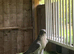 Male gyr falcon