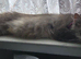 Mia/Bruce