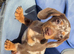 Exceptional KC Registered Miniature Dachshund &ndash; Chocolate Dapple Male