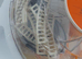 Egg incubator