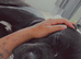 Male cane corso 7 months old