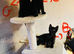 Adorable Black Kittens for Sale - Two Girls & One Boy