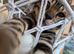 Rare charcoal Bengal kitten Purebred pedigree