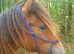 Stunning Yearling Blanket Spot Hermits Bred Traditional Cob Gelding