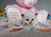 Beautiful Ragdoll type girl HCM and PKD clear
