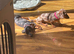 female miniature Dachshund 4 months old