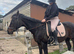 Super safe schoolmaster