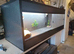Vivarium LARGE with electrics