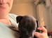 Last male pup remaining