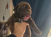 Beautiful presa canario x American p bully pus