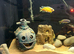 Variety or cichlids