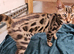 Cuddly Charity Donation **Breed Quality**