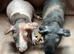 Skinny Pig Brothers. Ready Now