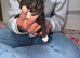 Kittens looking for forever home