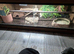 Mexican black kingsnake with fullsetup
