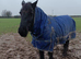 For part loan to stay at same stables