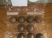 Button quail eggs