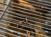 3 male cotturnix jumbo quails