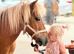 Ride & drive Shetland mare.