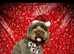 Teddy