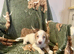 ️ beautiful cocker spaniel puppy’s for sale ️