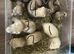 Ferret kits ready 5th July